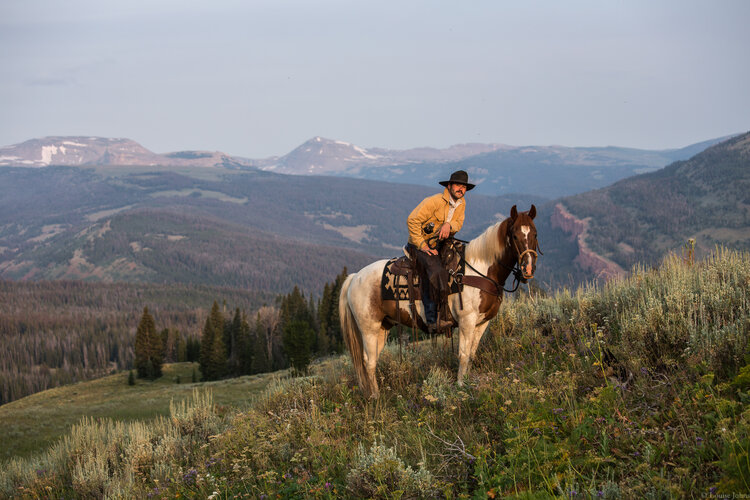 Darwin rider on the ridge