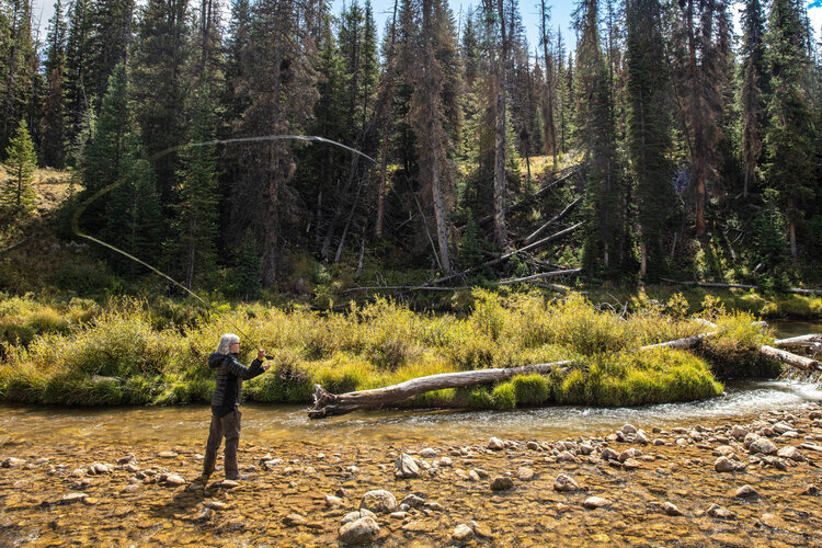 Darwin woman fly fishing horizontal