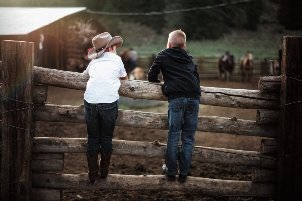 2 kids standing on railings or corral