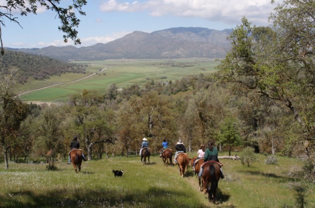 group of guests on horses