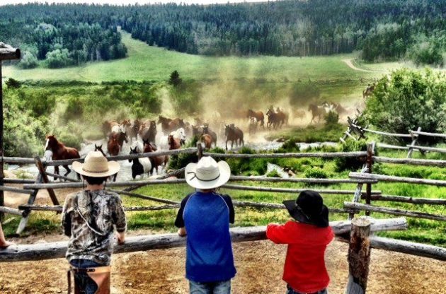 Paradise Guest Ranch