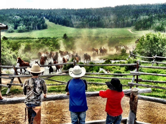 Paradise Guest Ranch